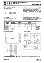 DataSheet BS616LV2019 pdf