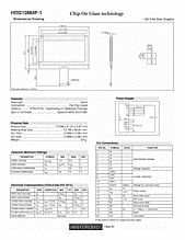 DataSheet HDG12864F-1 pdf