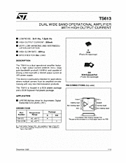 DataSheet TS613 pdf