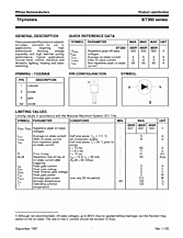 DataSheet BT300 pdf