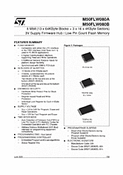 DataSheet M50FLW080A pdf